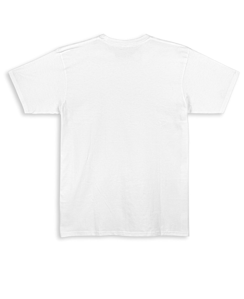 BLANC BASE – Regular White Tee - Jenzra